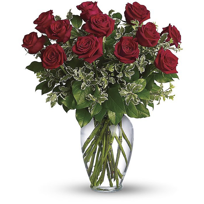 12 Red Roses