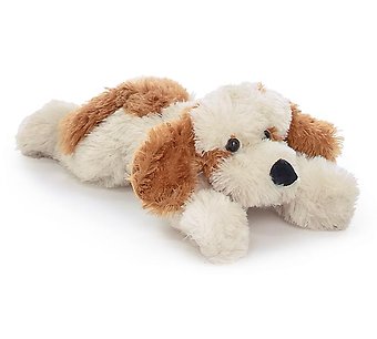 Burton & Burton Puppy