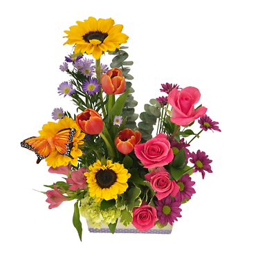 Mama\'s Meadow
