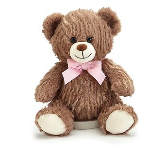 Burton & Burton Wavy Bear 10\"
