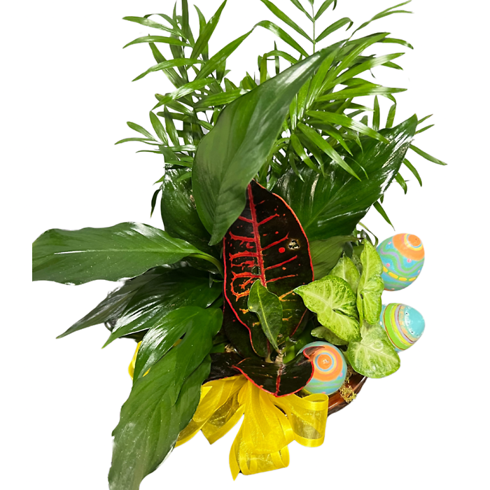 Easter Dish Garden