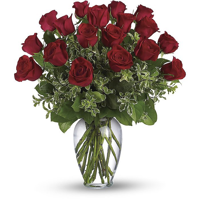12 Red Roses
