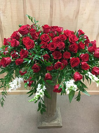 Red Beauty Tribute