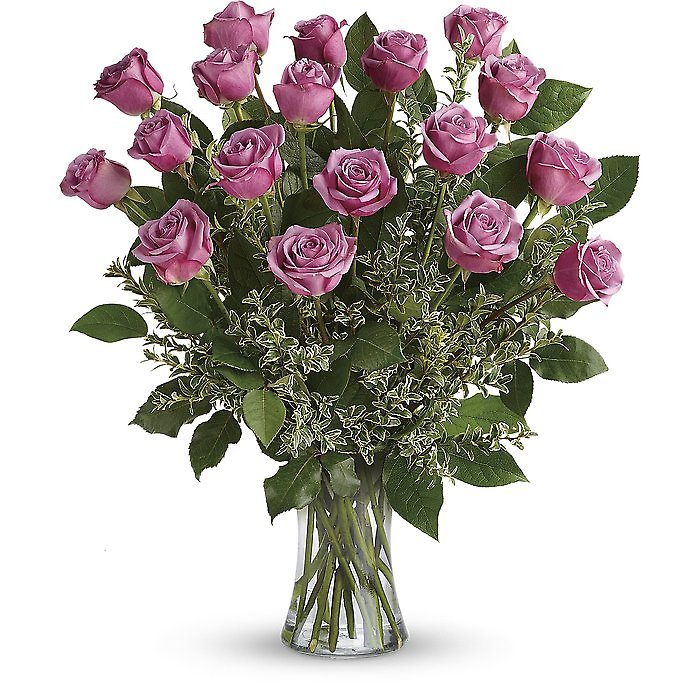 12 Lavender Roses
