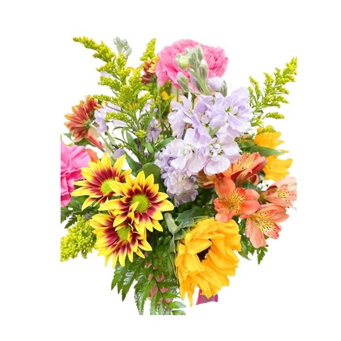Bright & Cheery