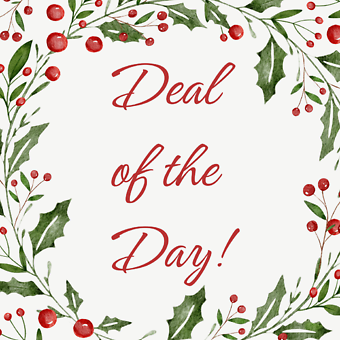 Deal of the Day!