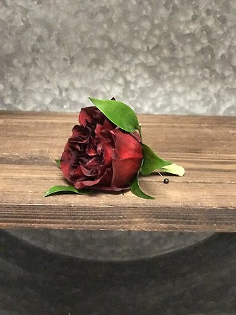 CFHD-PROM-19