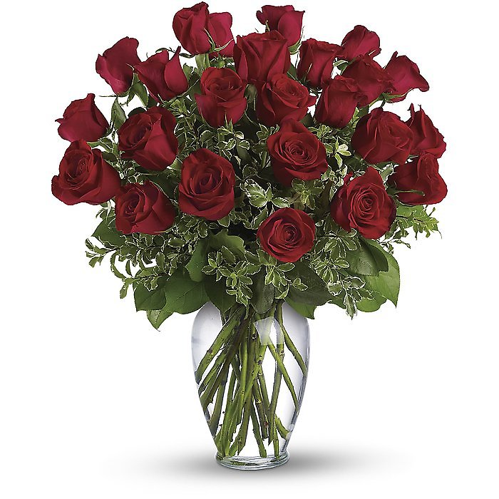 12 Red Roses