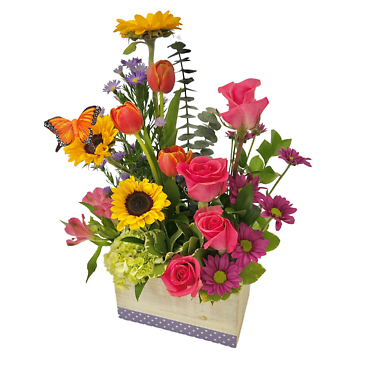 Mama\'s Meadow