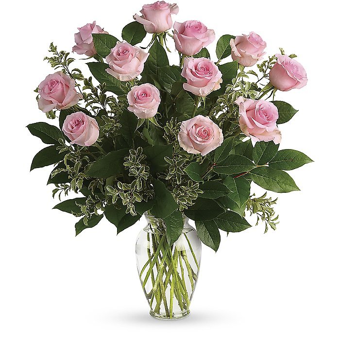 12 Pink Roses
