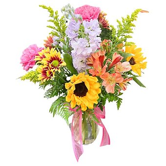 Bright & Cheery
