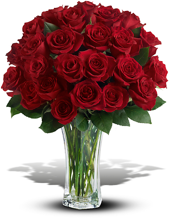 24 Roses
