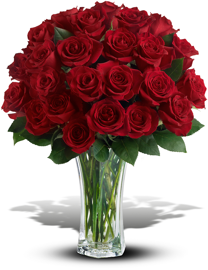 24 Roses