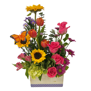 Mama\'s Meadow