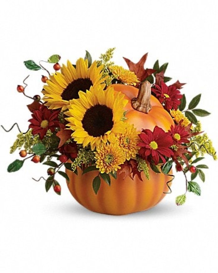 Pretty Pumpkin