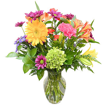 Beautiful Blooms