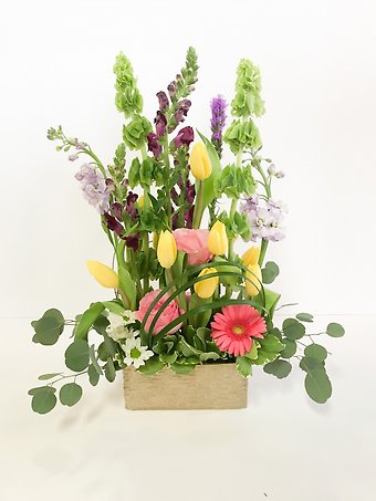 Spring Garden